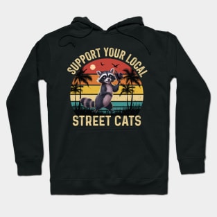 Support Local Street Cats Vintage Raccoon Hoodie
